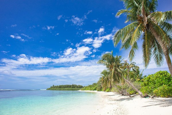 Economisez sur vos billets de train grâce aux codes promo